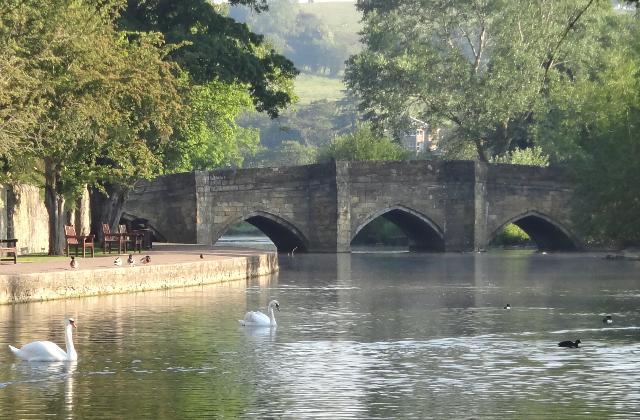 Bakewell_Swans_1639.jpg